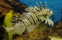 攻击网站服务器